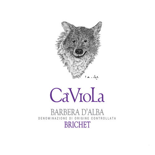Product image for Ca' Viola Barbera D'Alba Brichet 2023 750ml