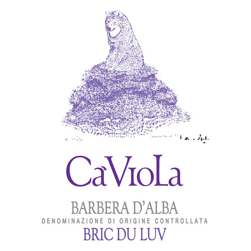 Product image for Ca' Viola Barbera D'Alba Bric Du Luv 2022 750ml