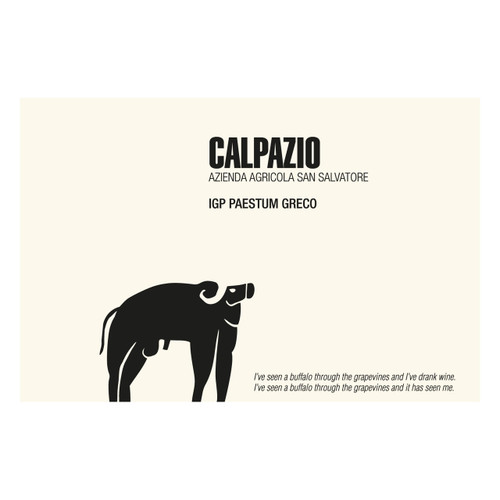 Product image for San Salvatore Paestum Greco Calpazio 2022 750ml