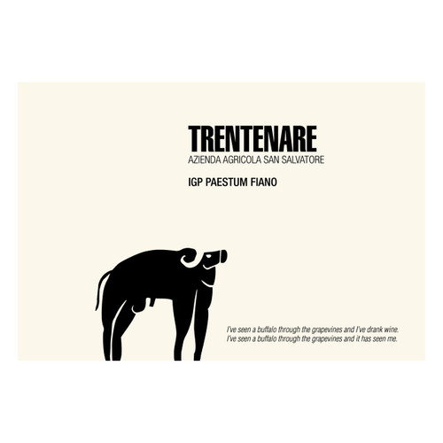 Product image for San Salvatore Paestum Fiano Trentenare 2023 750ml