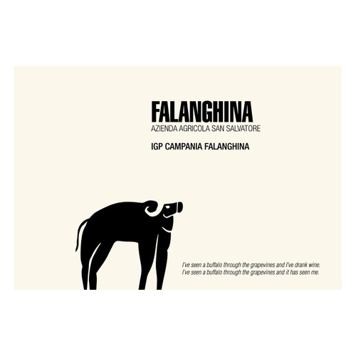 Product image for San Salvatore Campania Falanghina 2023 750ml