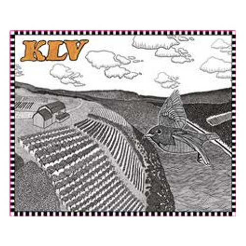 Product image for Keuka Lake Vineyards Vignoles Skin Fermented Finger Lakes 2022 750ml