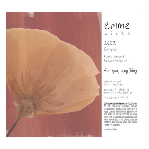 Product image for Emme Wines Carignan Ricetti Vineyard For you, Anything Redwood Valley 2023 750ml