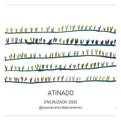 Product image for Quinta da Boavista (Joao Tavares de Pina) Dao Encruzado Atinado Torre De Tavares 2022 750ml