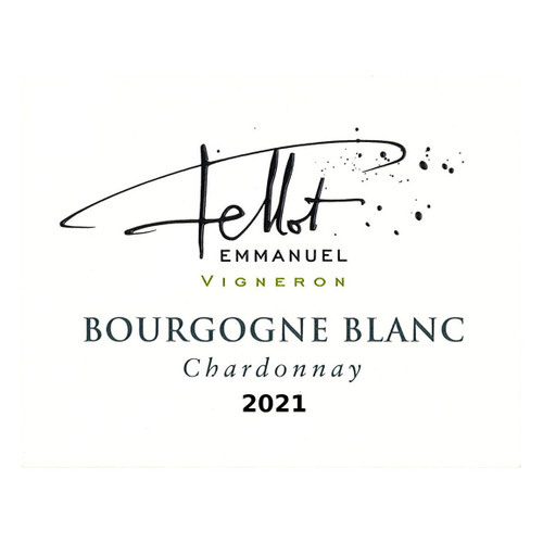 Product image for Domaine Emmanuel Fellot Bourgogne Chardonnay 2023 750ml
