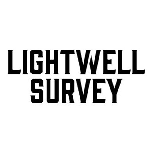 Product image for Lightwell Survey Electric Juice Box Rose Shenandoah Valley 2024 750ml