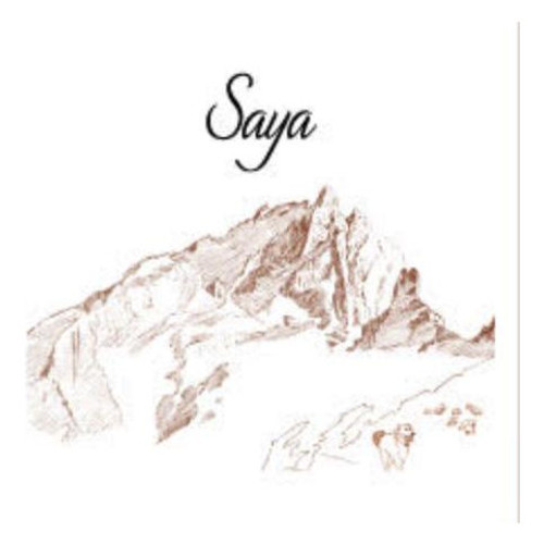 Product image for Domaine Adrien Dacquin Saya 2023 750ml