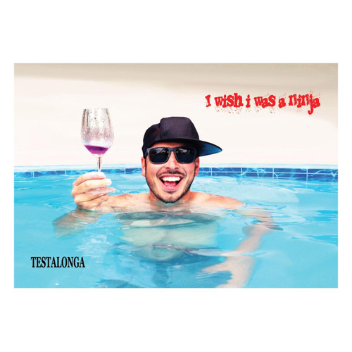 Product image for Testalonga I Wish I Was A Ninja Swartland 2023 750ml
