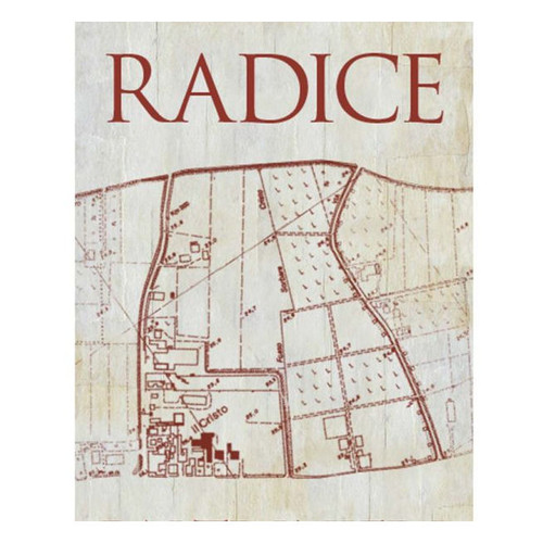 Product image for Paltrinieri Radice Lambrusco di Sorbara 2024 750ml