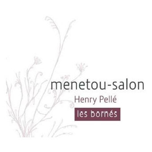 Product image for Domaine Pelle Menetou-Salon Les Bornes Rouge 2023 750ml