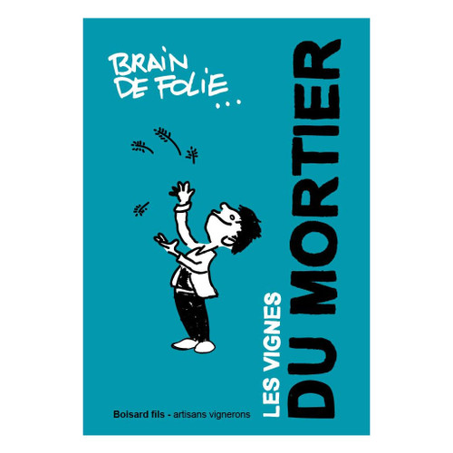 Product image for Domaine du Mortier Brain de Folie Chenin Blanc 2024 750ml