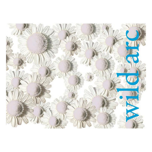 Product image for Wild Arc Farm Florescence NV 750ml