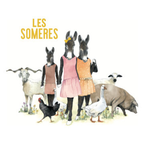 Product image for Clos Dels Guarans Ancestral Les Someres 2021 750ml