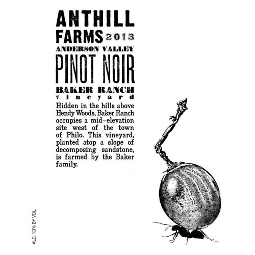 Product image for Anthill Farms Pinot Noir Baker Ranch Vineyard Anderson Valley 2022 750ml