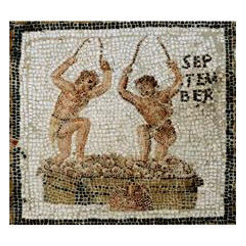 Product image for Domaine de l'Ecu Janus 2023 750ml