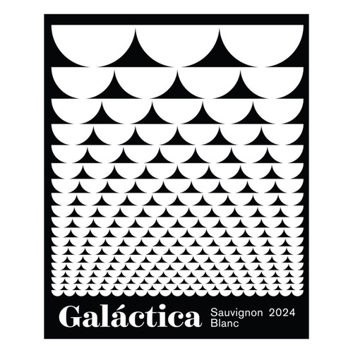 Product image for Galactica Sauvignon Blanc Valle Central 2024 750ml