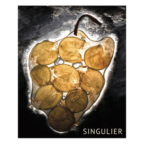 Product image for Vignoble du Reveur Singulier 2023 750ml