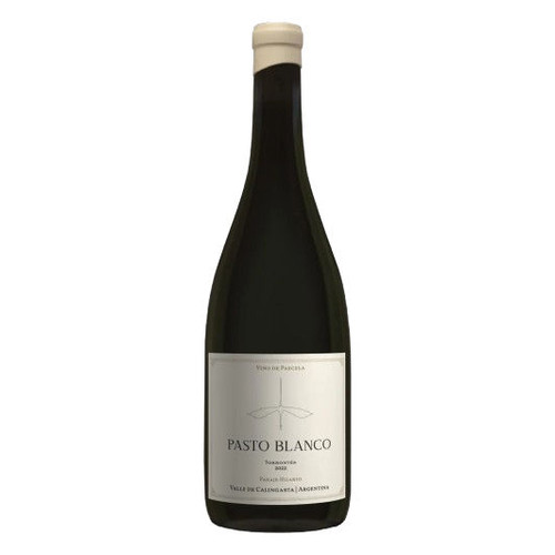 Product image for Bodega Los Dragones Torrontes Pasto Blanco Paraje Hilario Vino De Parcela Valle De Calingasta 2023 750ml