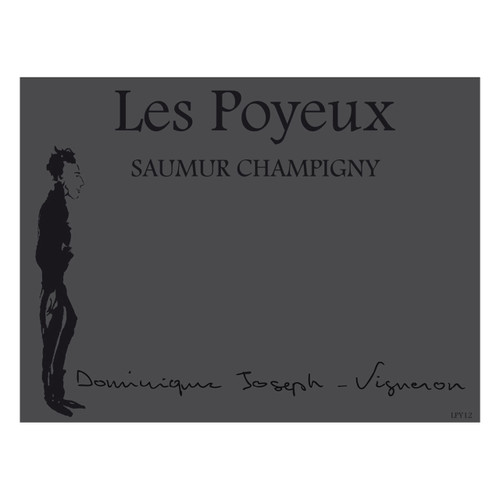 Product image for Le Petit Saint Vincent Saumur Champigny Les Poyeux 2023 750ml