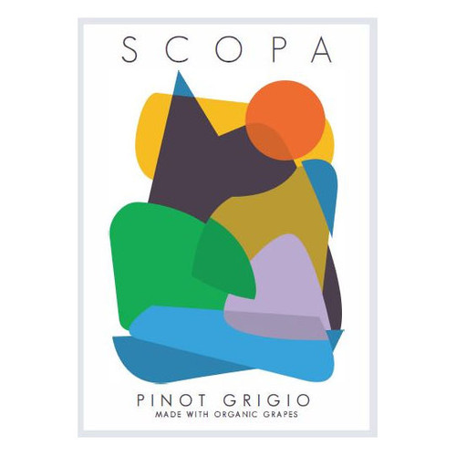 Product image for Scopa Delle Venezie Pinot Grigio 2024 750ml