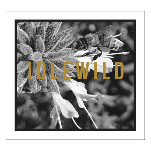 Product image for Idlewild The Bee Flora & Fauna White North Coast 2024 750ml