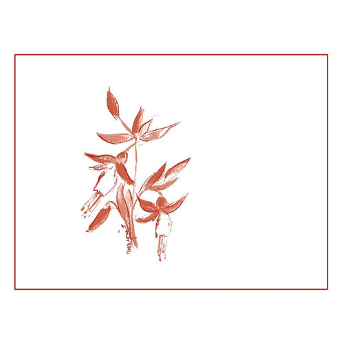 Product image for Arnot-Roberts Que Vineyard Sonoma Coast 2023 750ml