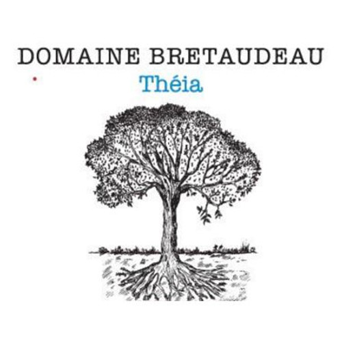 Product image for Domaine Jerome Bretaudeau Theia 2024 750ml