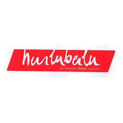 Product image for Domaine Sebastien David Saint-Nicolas-de-Bourgueil Hurluberlu 2024 750ml