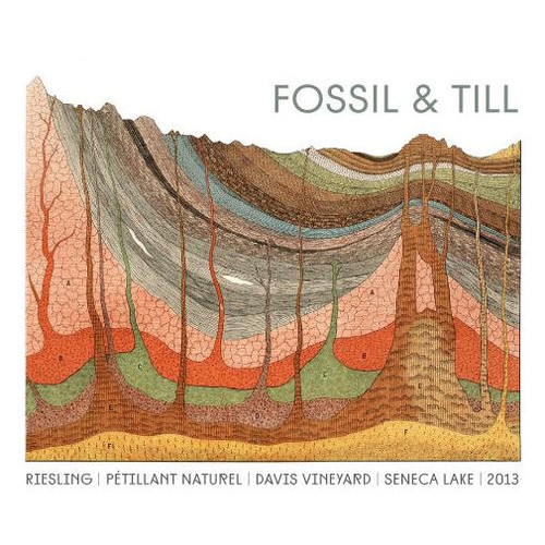 Product image for Fossil & Till Seneca Lake Pet-Nat Riesling 2024 750ml