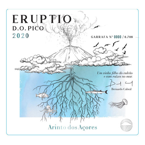Product image for Eruptio Pico Arinto dos Acores 2021 750ml