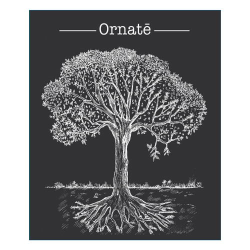 Product image for Domaine Jerome Bretaudeau Ornate 2023 750ml