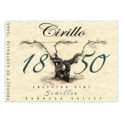 Product image for Cirillo Estate Semillon Ancestor Vine Barossa Valley 2020 750ml