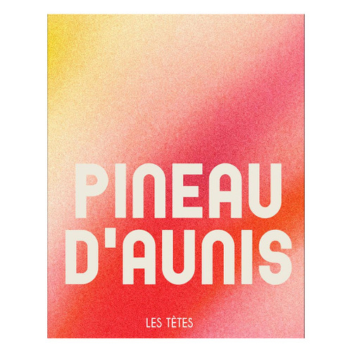 Product image for Les Tetes Pineau d'Aunis 2023 750ml