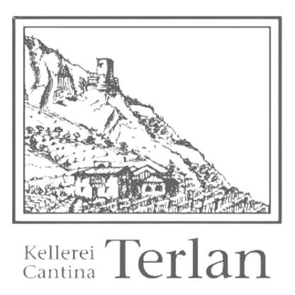 Product image for Kellerei Terlan Terlano Sauvignon Winkl 2024 750ml