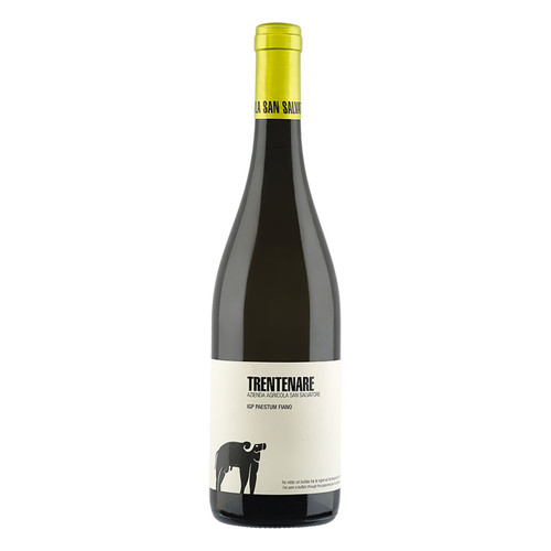 Product image for San Salvatore Paestum Fiano Trentenare 2024 750ml