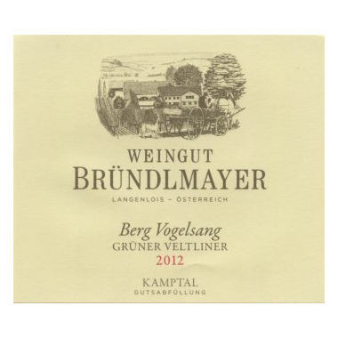 Product image for Weingut Brundlmayer Kamptal Gruner Veltliner Berg Vogelsang 2023 750ml