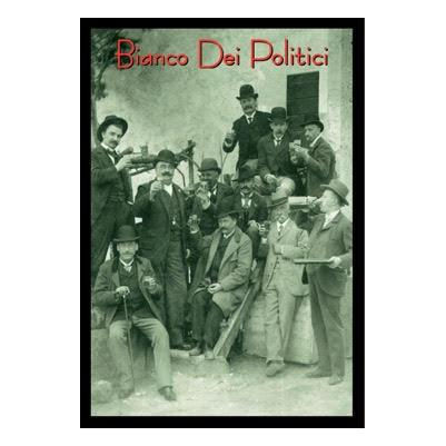 Product image for Vini dei Politici Delle Venezie Pinot Grigio 2024 1L