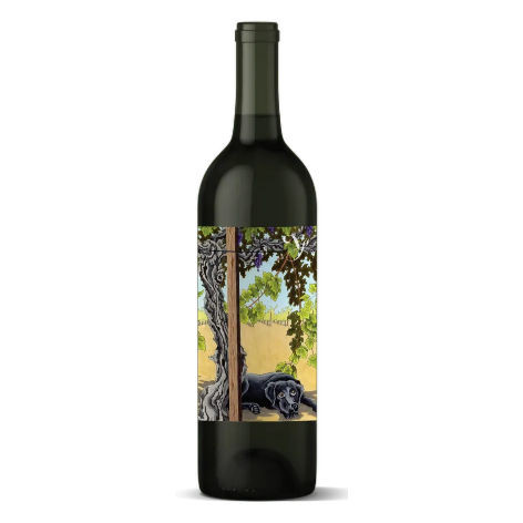Product image for Violet's Paradise Cabernet Sauvignon Monte Rosso Sonoma County 2023 750ml