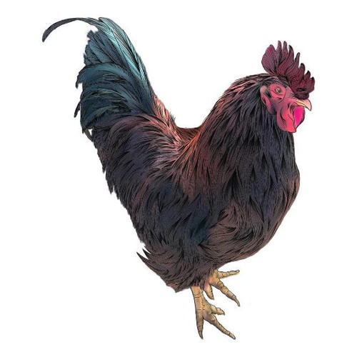 Product image for The Royal Nonesuch Farm Grenache Hokum York Mountain 2023 750ml