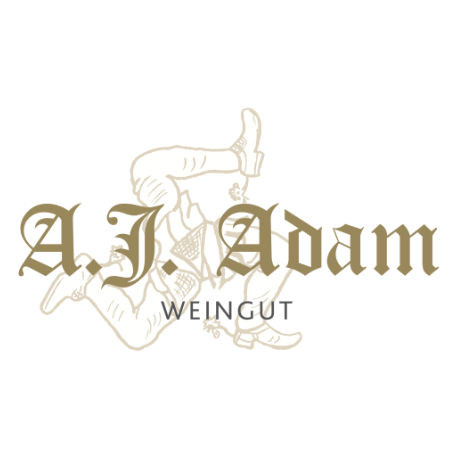 Product image for A.J. Adam Riesling Has'chen Grosses Gewachs 2024 750ml