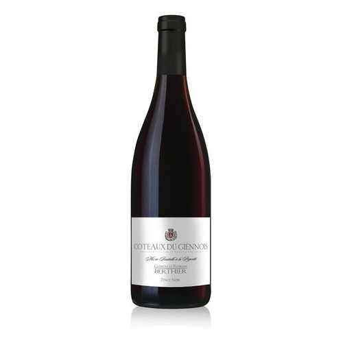 Product image for Clement et Florian Berthier Coteaux Du Giennois Rouge 2023 750ml