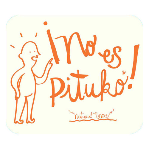 Product image for Echeverria Cabernet Franc No Es Pituko Valle del Curico 2023 750ml