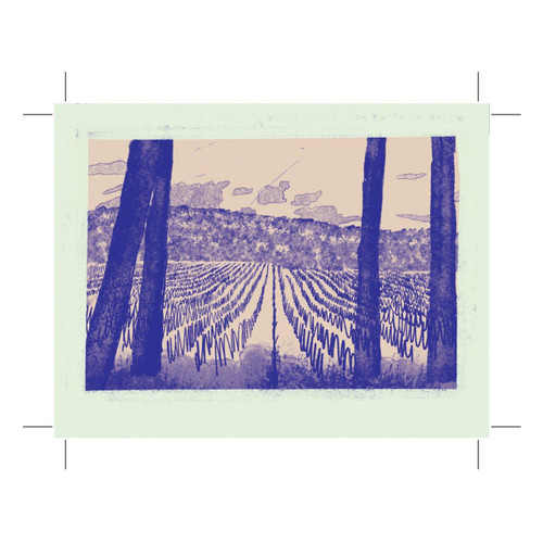 Product image for Bencze Balatonmelleki Pinot Gris 2022 750ml