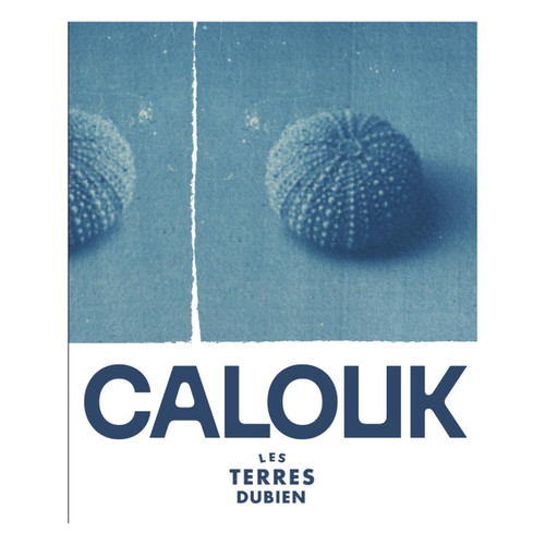 Product image for Les Terres Dubien Medoc Calouk 2023 750ml