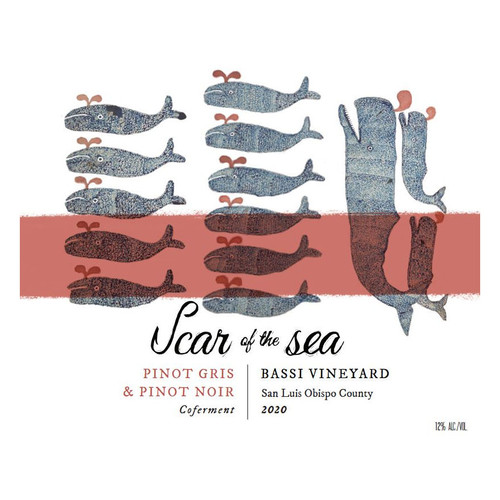 Product image for Scar of the Sea Pinot Gris Pinot Noir Bassi Vineyard 2025 750ml