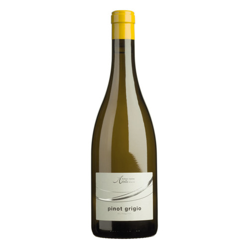 Product image for Andriano Pinot Grigio Alto Adige 2024 750ml