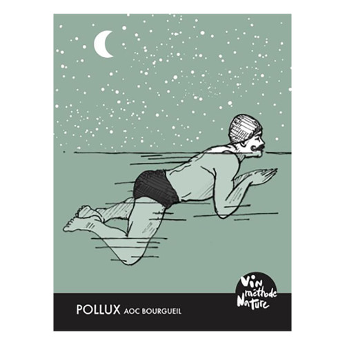 Product image for Domaine du Mortier Bourgueil Pollux 2023 750ml