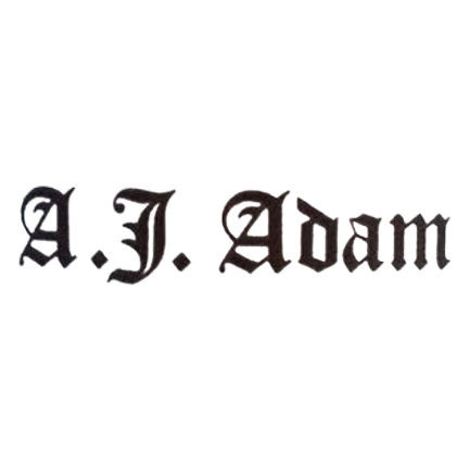 Product image for A.J. Adam Wines Mosel Riesling Wintricher Ohligsberg Kabinett 2023 750ml