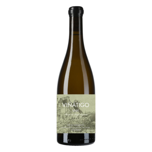 Product image for Bodegas Vinatigo Las Islas Canarias Maipe 2024 750ml