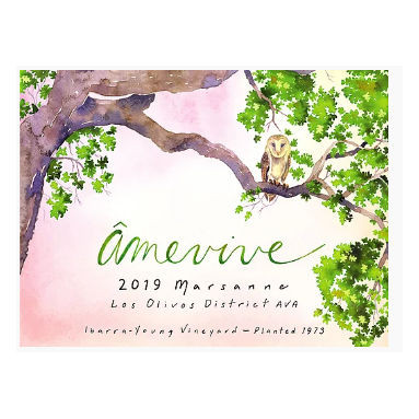 Product image for Amevive Wine Marsanne Ibarra Young Vineyard Los Olivos District 2024 750ml